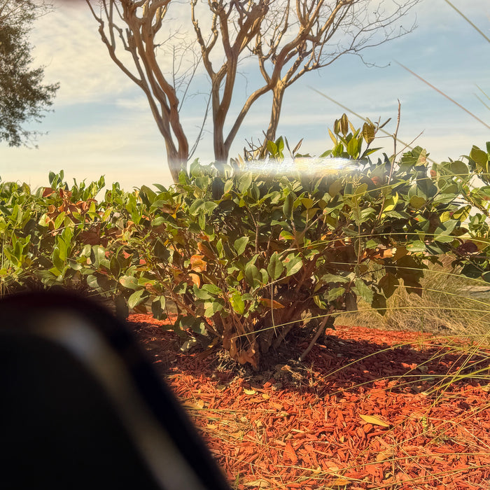 JT Proflex Paintball Mask - Real Tree