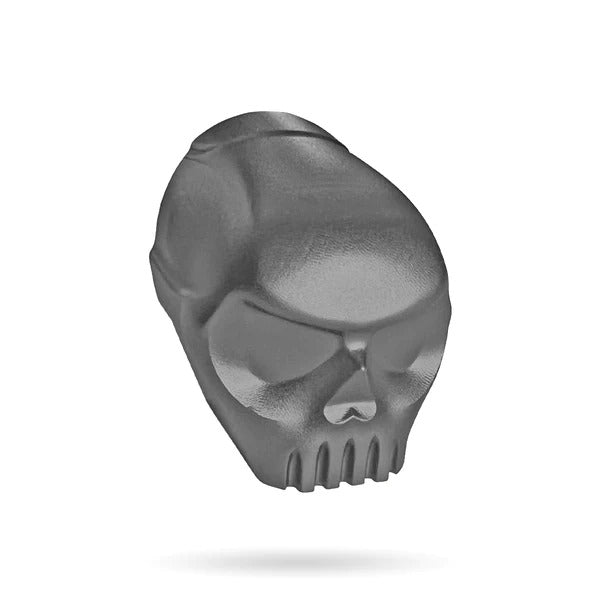 Infamous- Skull Backcap 170 - Grey